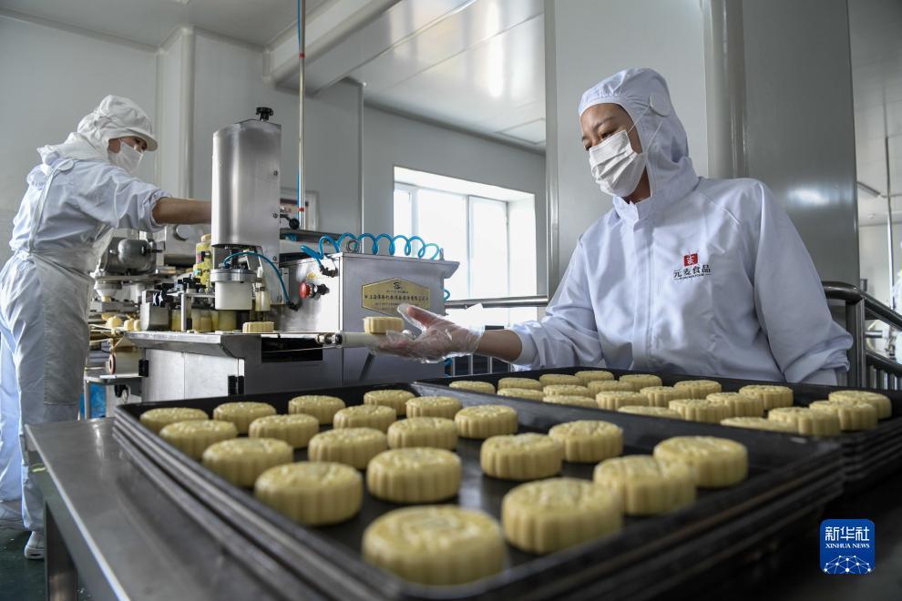 金沙网络平台网站